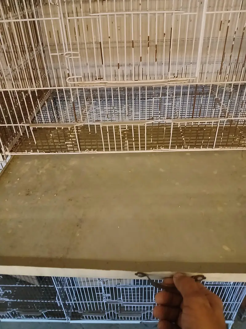 fixed cage — photo 2