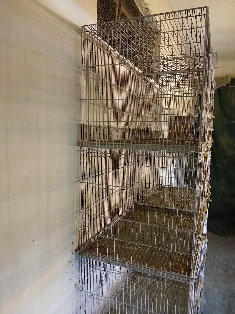 fixed cage — photo 3