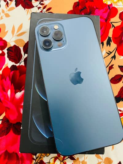 Apple iPhone 12 Pro Max