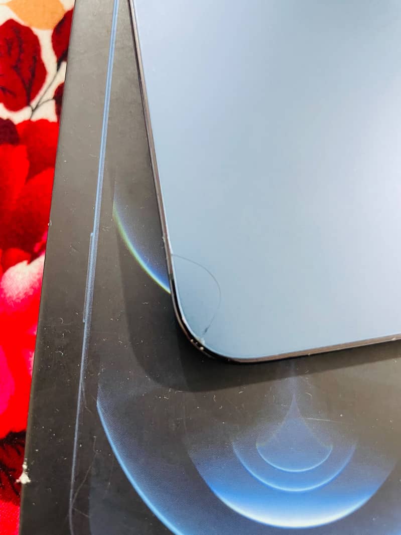 Apple iPhone 12 Pro Max 1