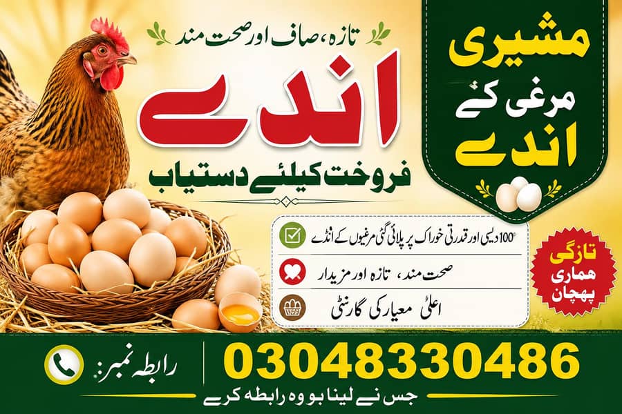  مشری مرغی کے انڈے فروخت کے لیے دستیاب ہیں  0