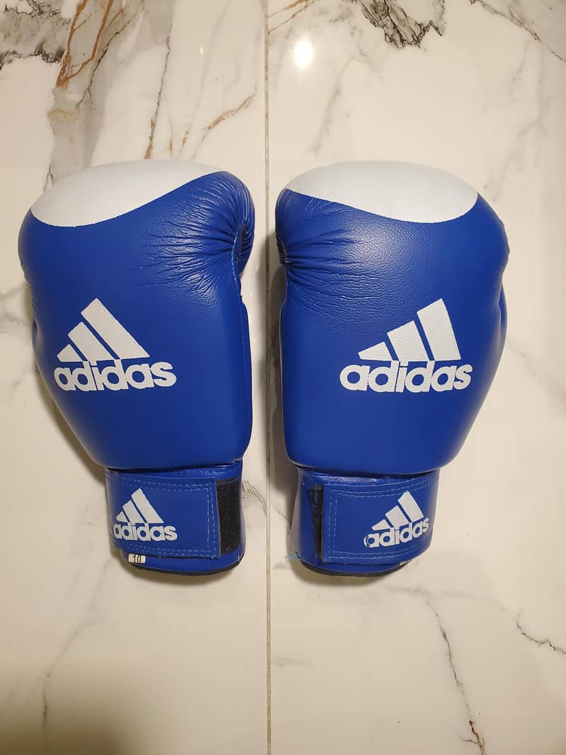 BOXING GLOVES 2 PAIR 0