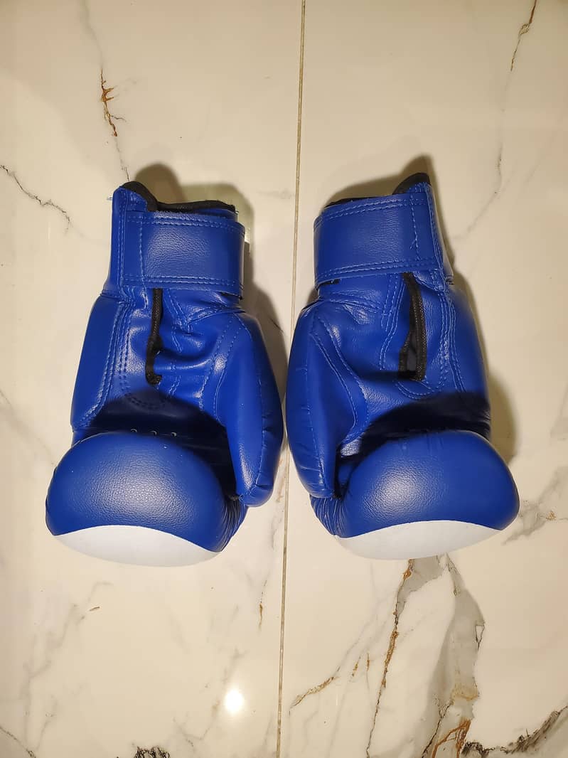 BOXING GLOVES 2 PAIR 1