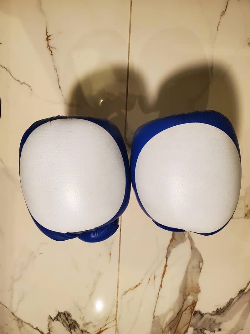 BOXING GLOVES 2 PAIR 3