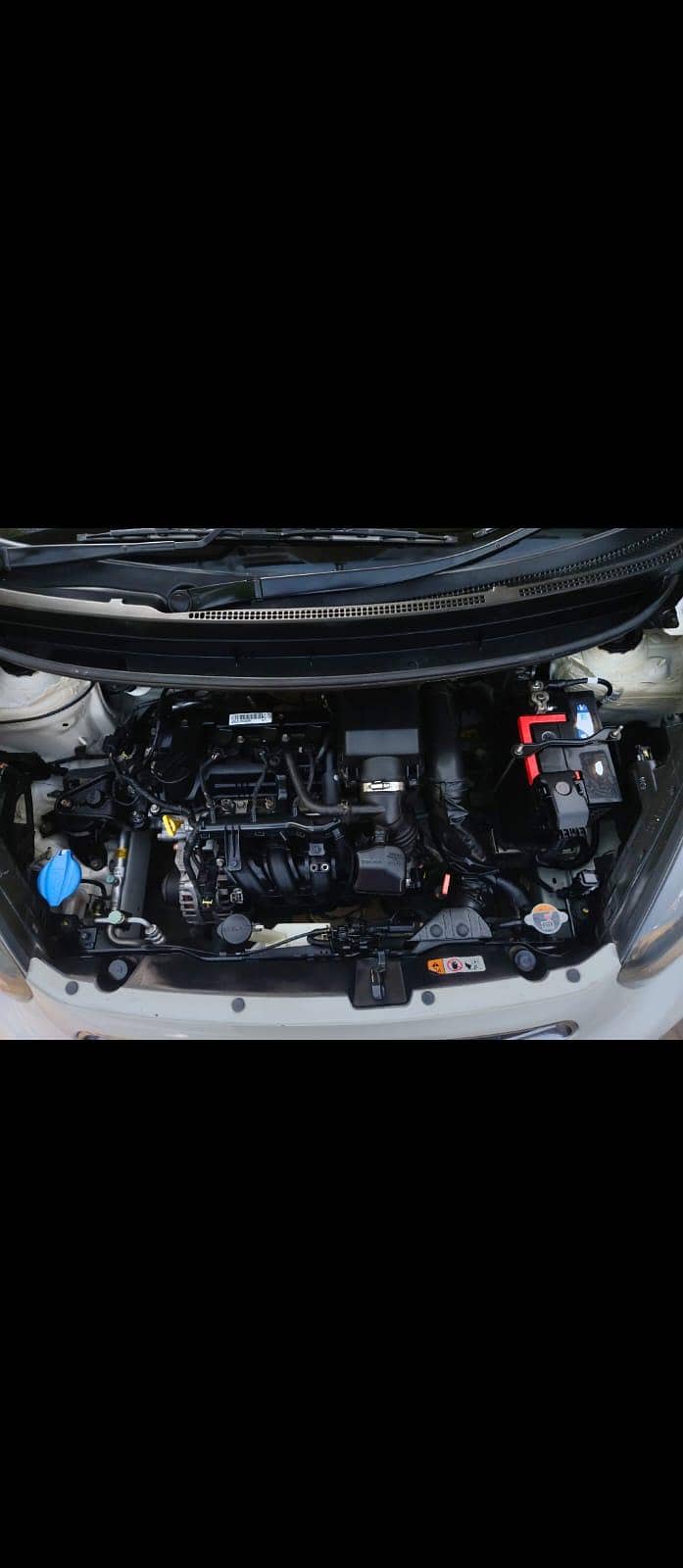 Kia Picanto Automatic 1