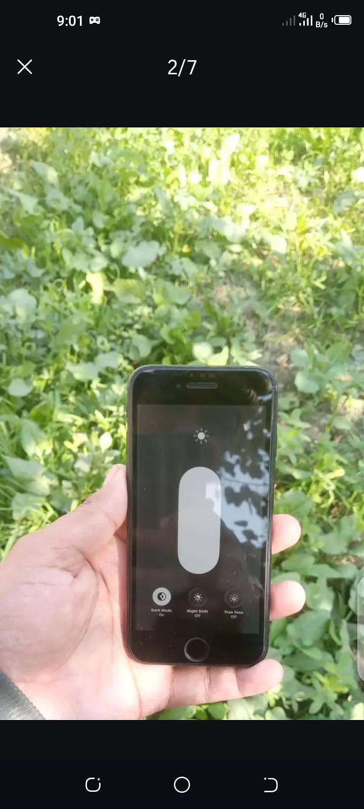 Apple iPhone SE 5