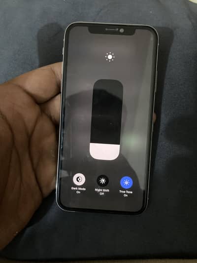 Apple iPhone X