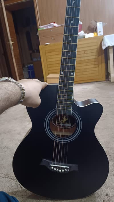 Professional Guitar 