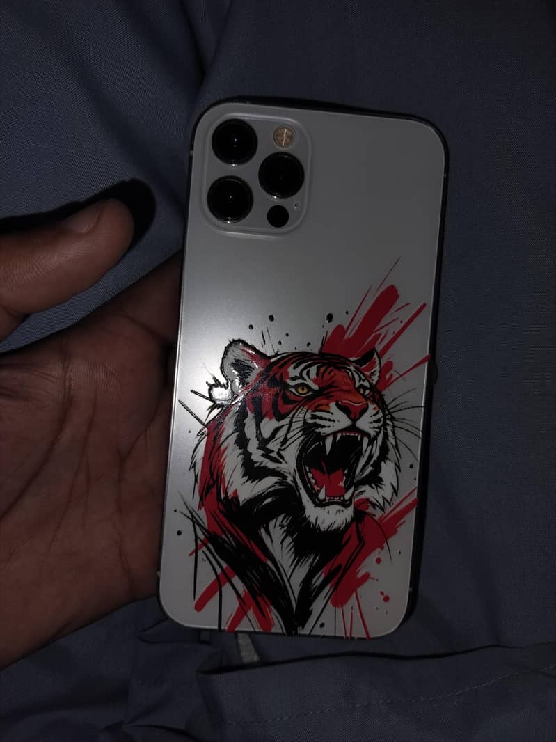 Apple iPhone 12 Pro 1