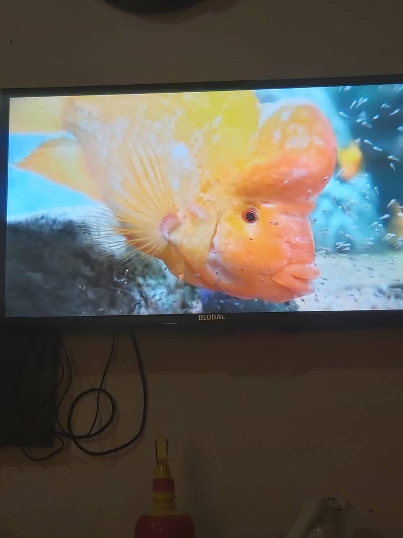 golobe led tv android 1
