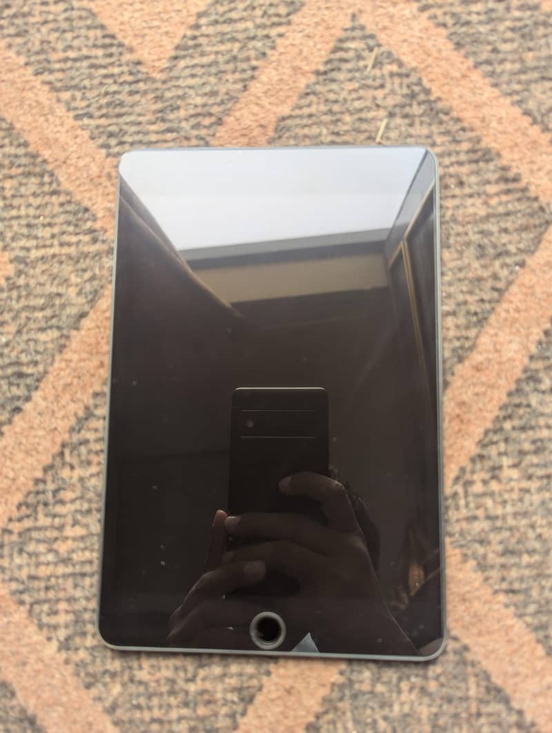 iPad mini 5 1