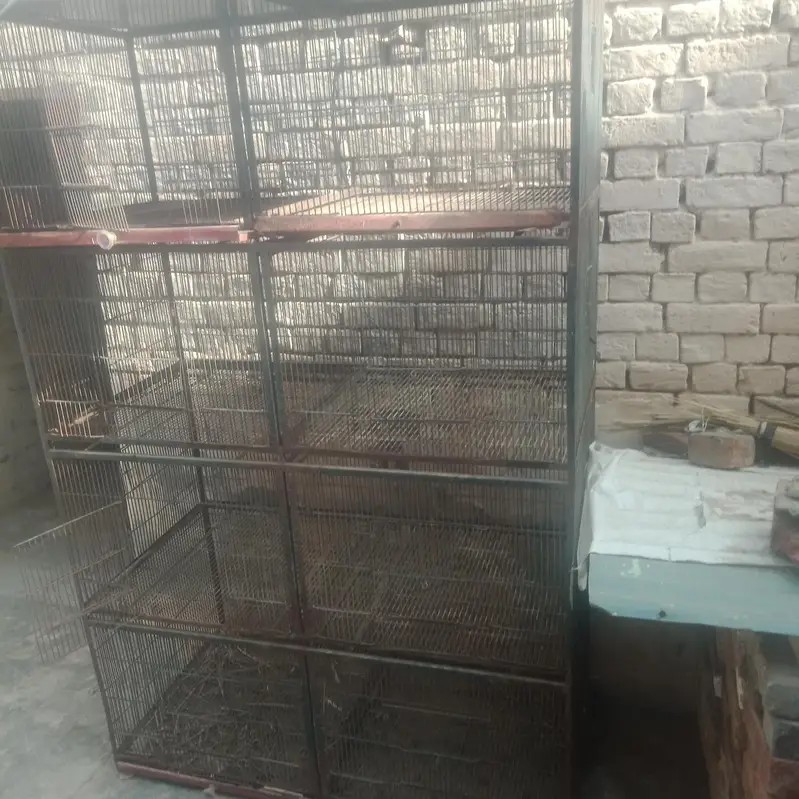 pinjara for sale 03071653463 — photo 2