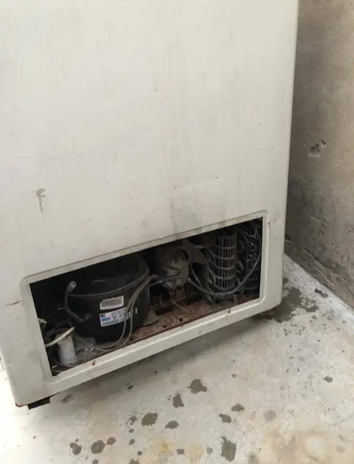 Freezer 1