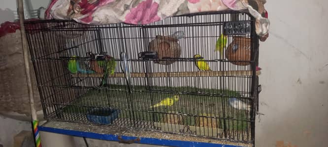 urgent sale. . . . .