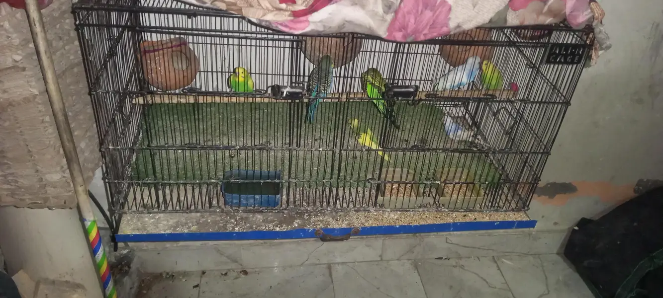 urgent sale. . . . . — photo 2