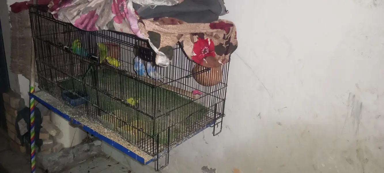 urgent sale. . . . . — photo 3