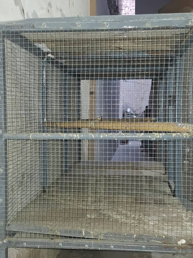 Cage for sale 1