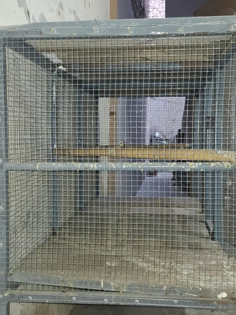 Cage for sale — photo 2