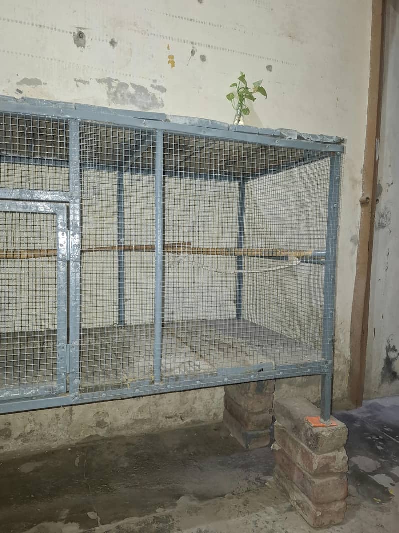 Cage for sale 2