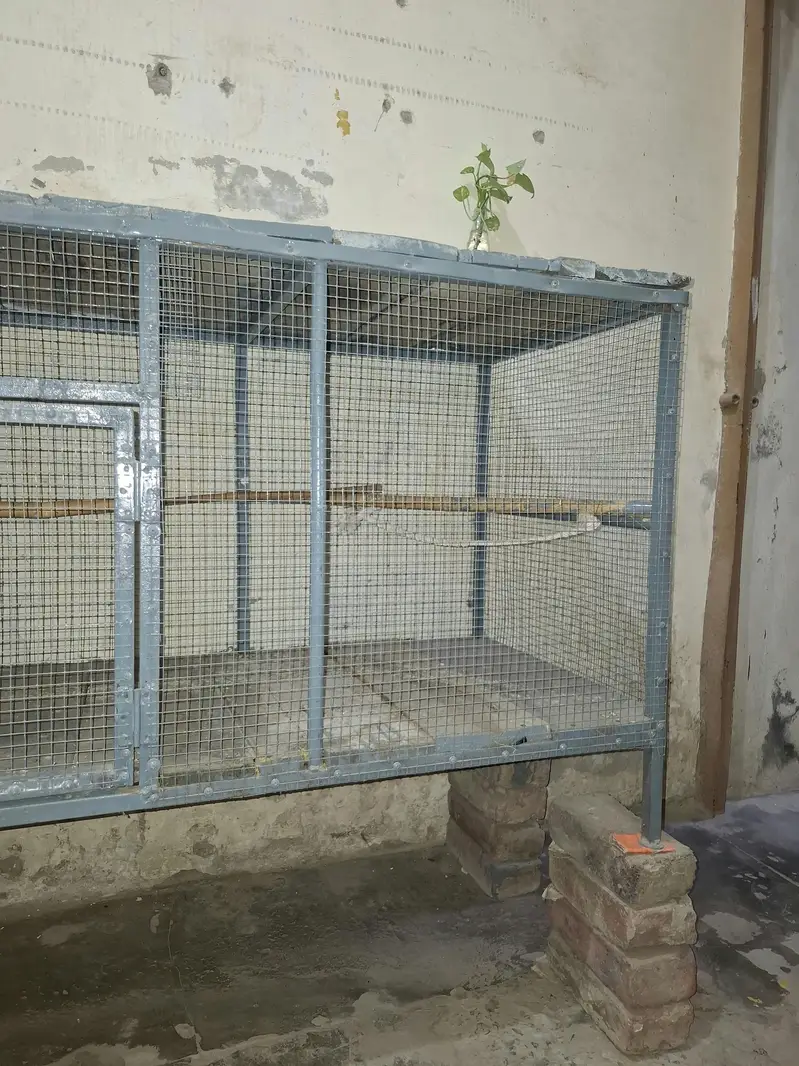 Cage for sale — photo 3