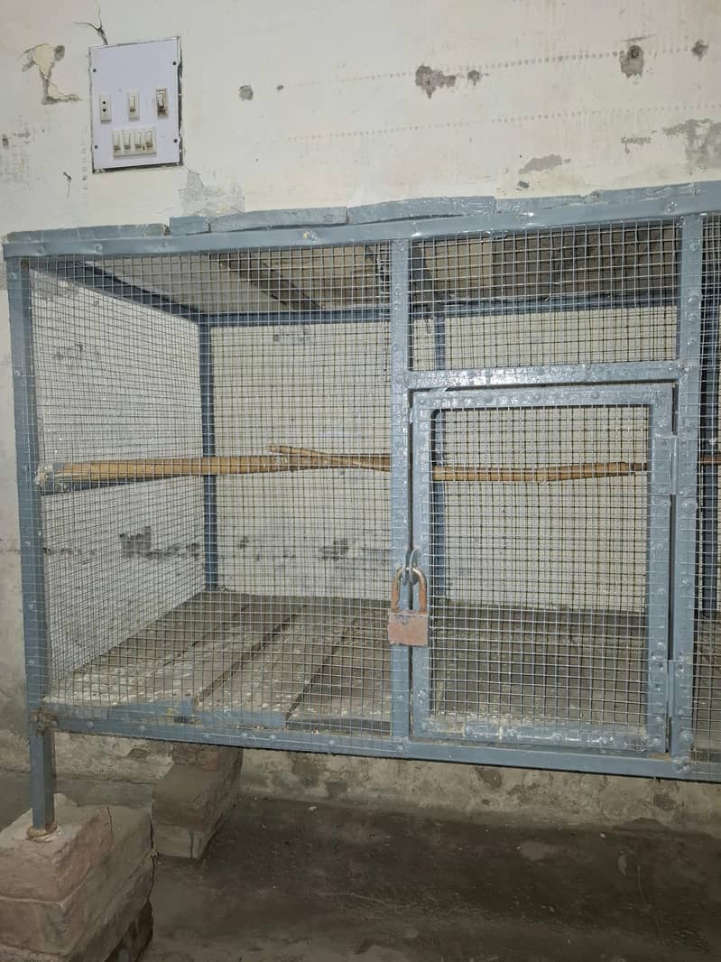 Cage for sale 4
