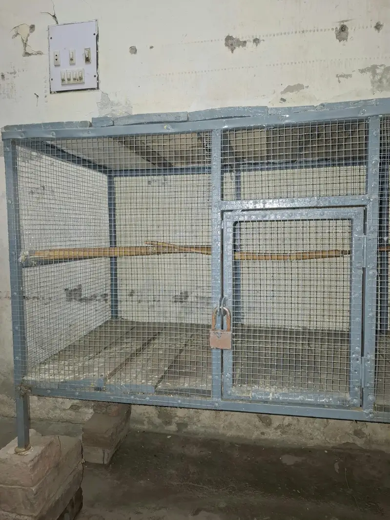 Cage for sale — photo 5