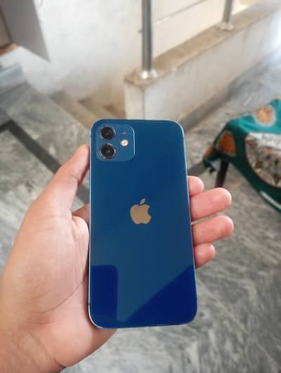Apple iPhone 12 sim glitch
