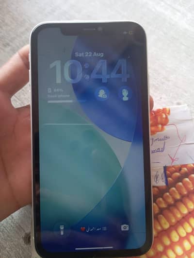 Apple iPhone 11