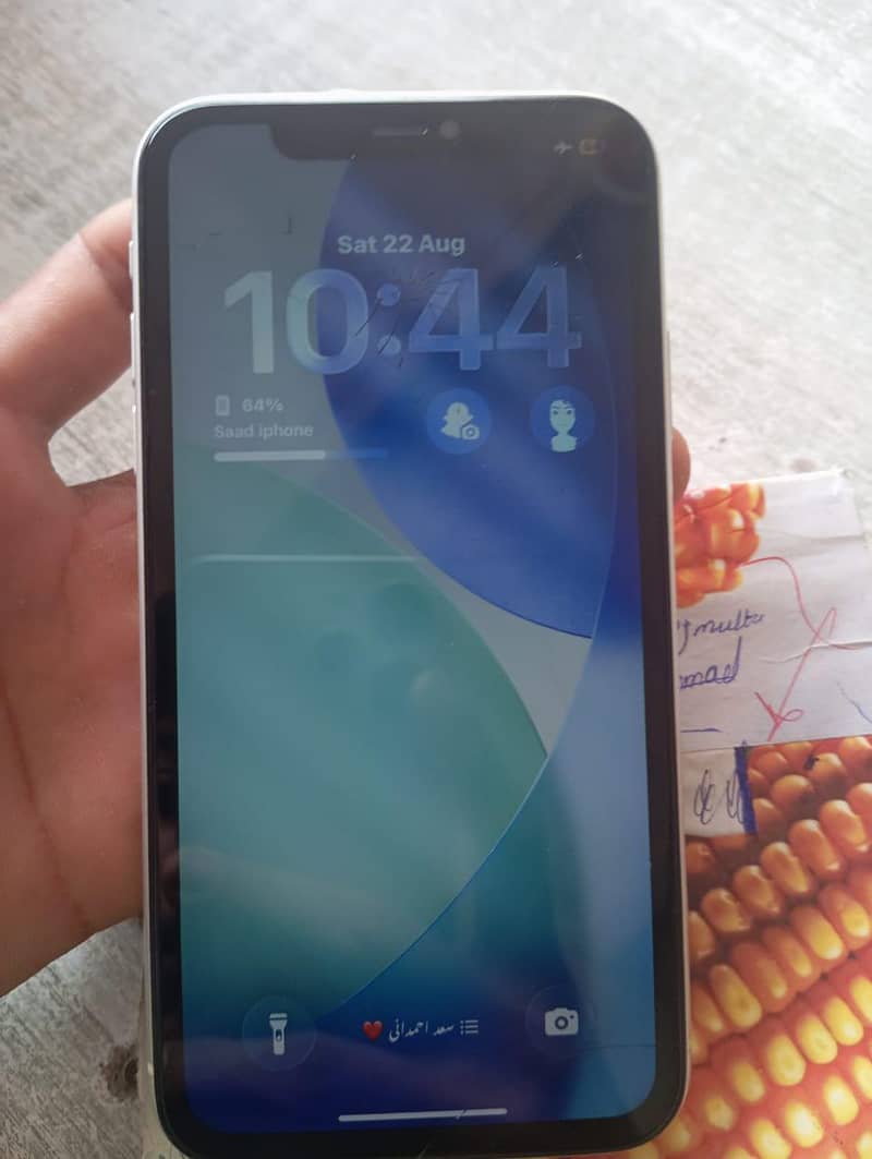 Apple iPhone 11 0
