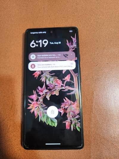 Google Pixel 6 1
