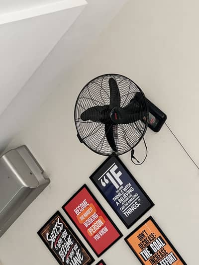 Wall mount fans