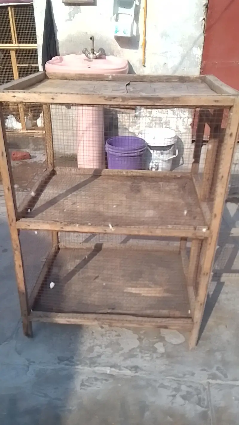 2 portion cage for sell hen or parrot k liya condition pic me dekh lo — photo 3