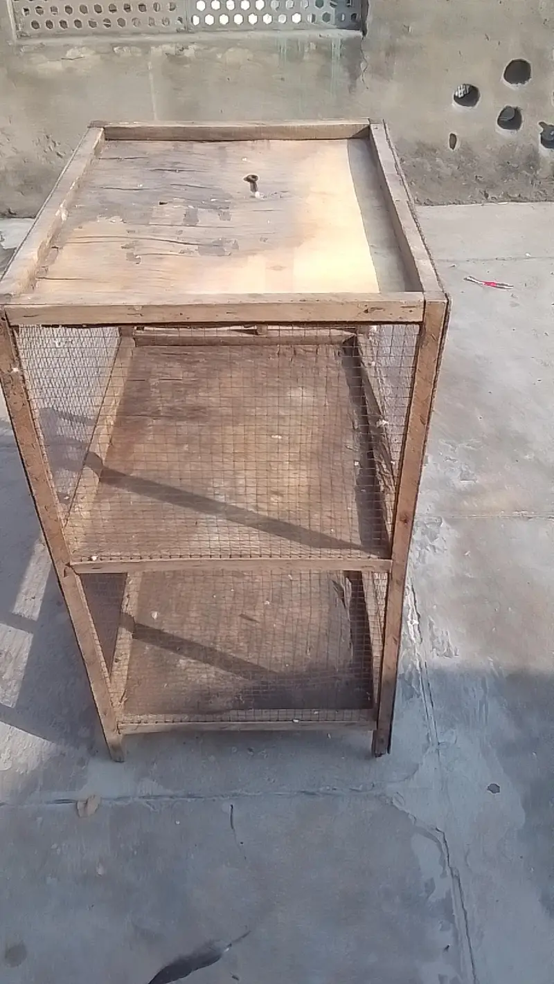 2 portion cage for sell hen or parrot k liya condition pic me dekh lo — photo 4