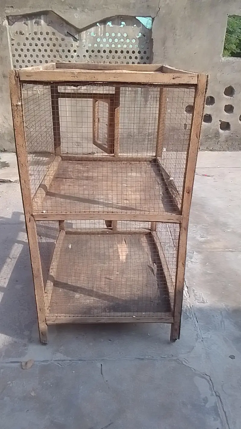 2 portion cage for sell hen or parrot k liya condition pic me dekh lo — photo 5