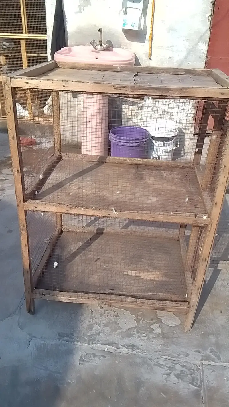 2 portion cage for sell hen or parrot k liya condition pic me dekh lo — photo 6