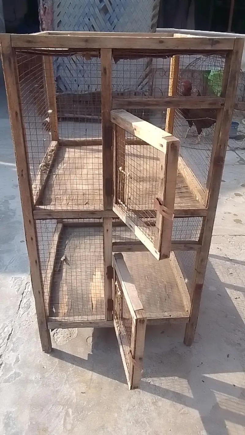 2 portion cage for sell hen or parrot k liya condition pic me dekh lo — photo 7
