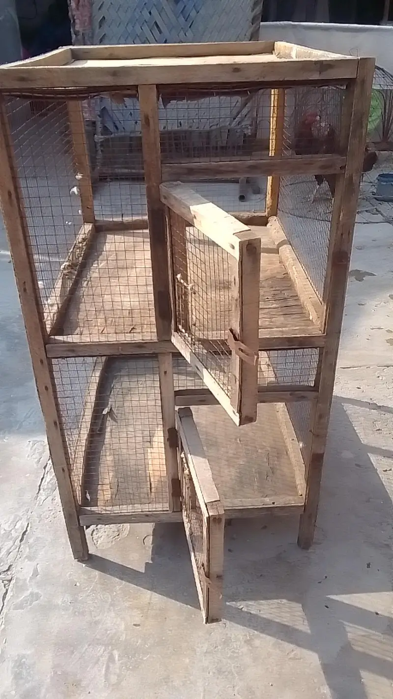2 portion cage for sell hen or parrot k liya condition pic me dekh lo — photo 8