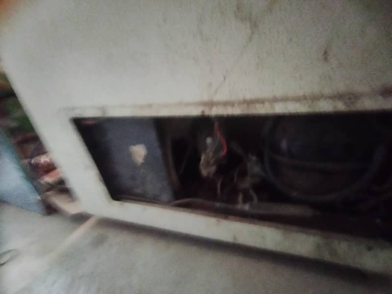 waves freezer 6