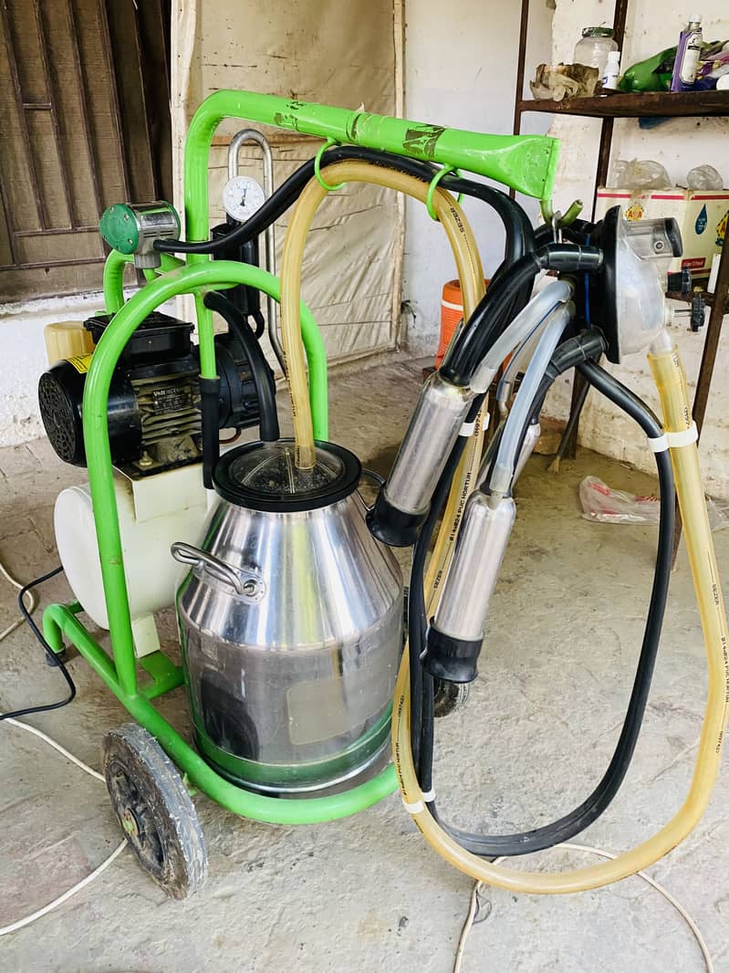 Turkey Milking Machine 4