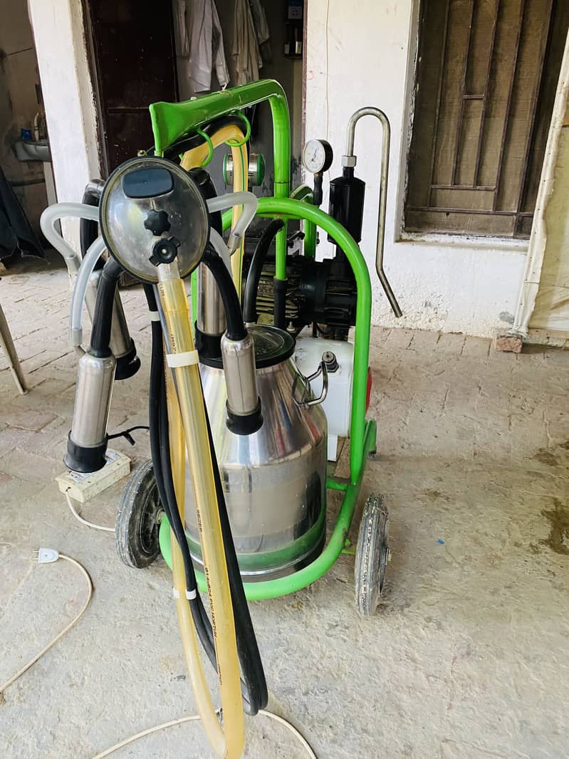 Turkey Milking Machine 5