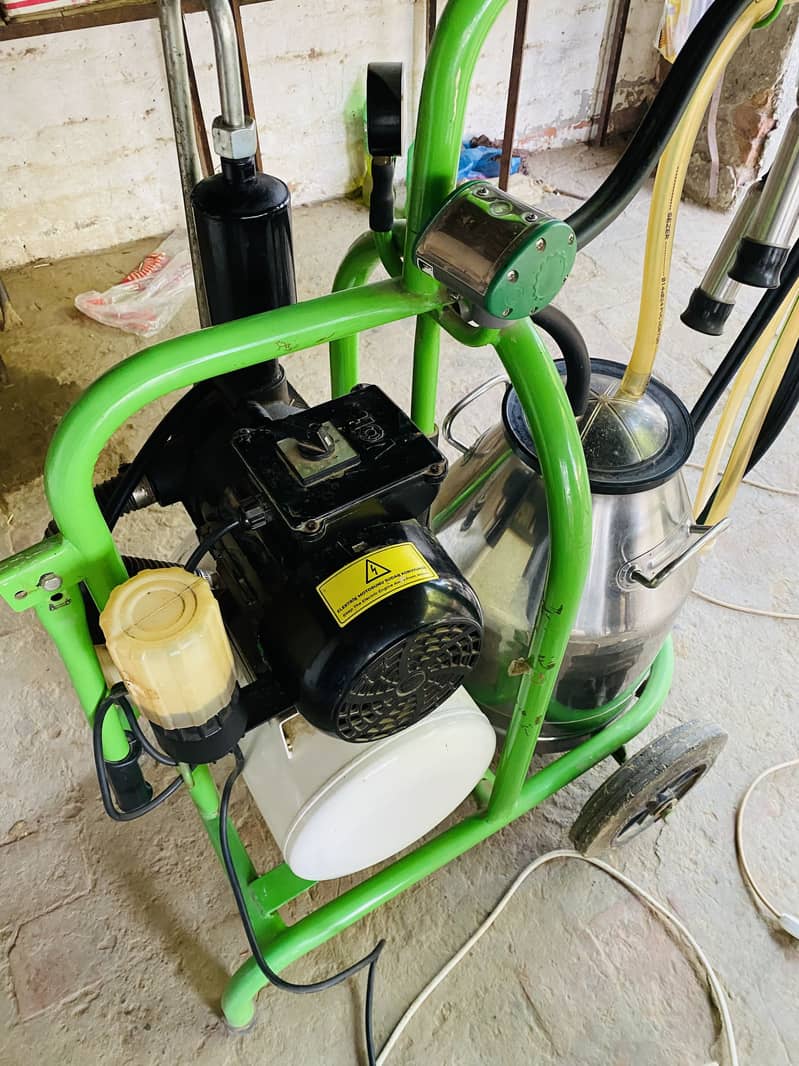 Turkey Milking Machine 6