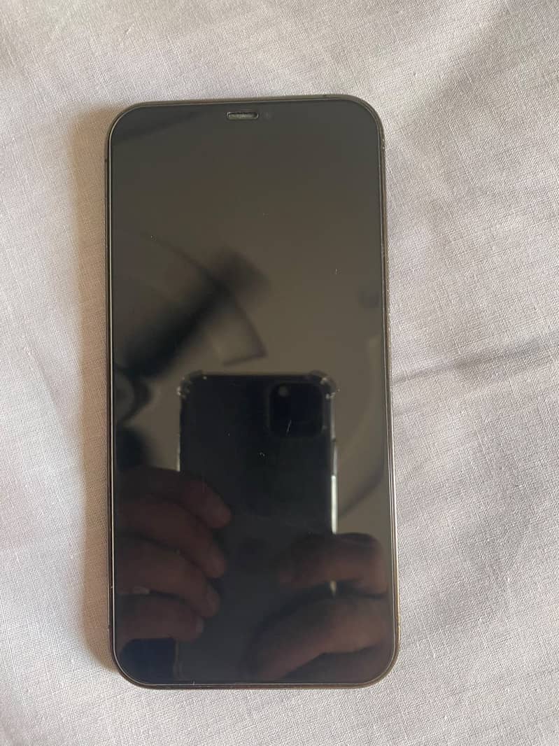 Apple iPhone 12 Pro Max 1
