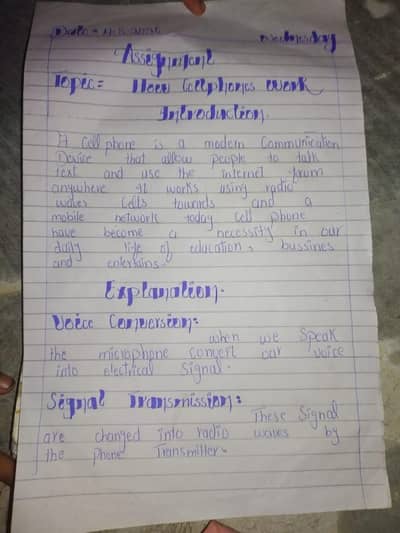 assignment writing