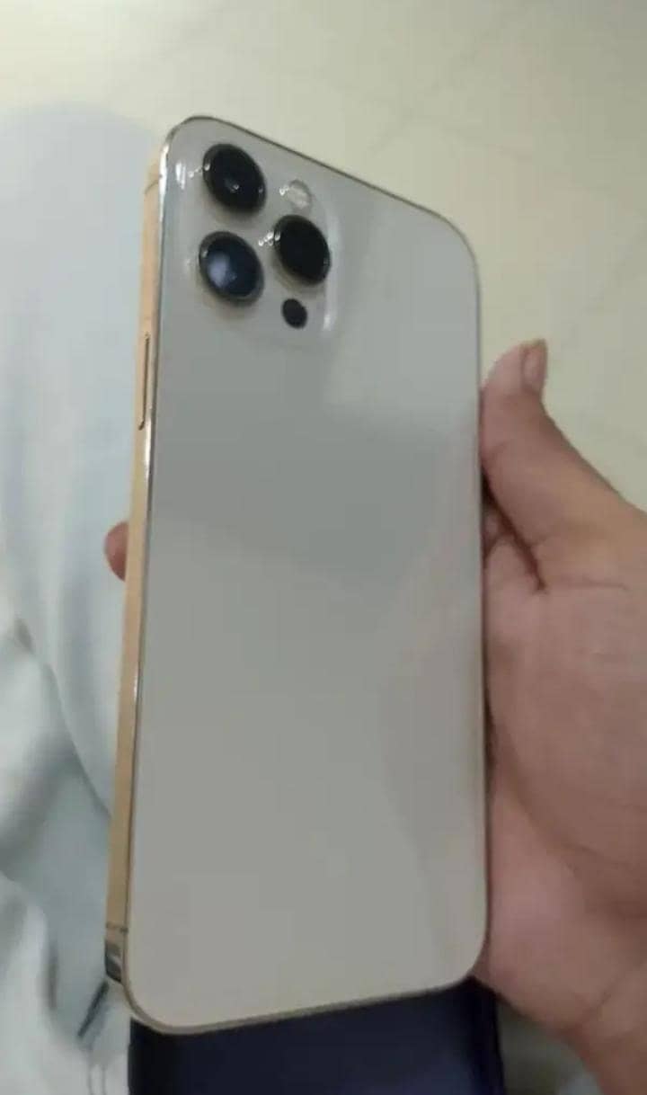 Apple iPhone 12 Pro Max 1
