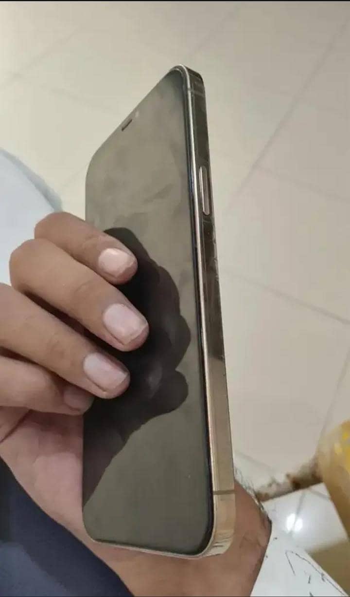 Apple iPhone 12 Pro Max 2