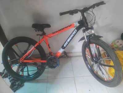 Begood cycle