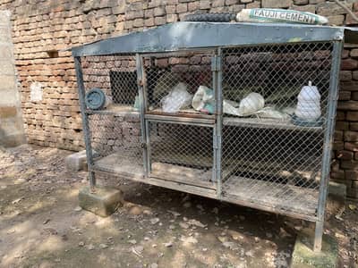 Cages for sale in good Condition 5*3*3