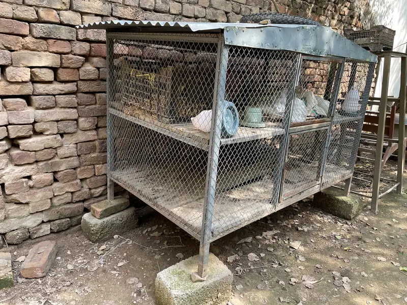 Cages for sale in good Condition 5*3*3 — photo 2