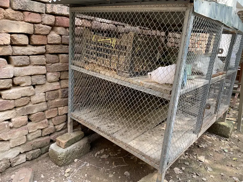 Cages for sale in good Condition 5*3*3 — photo 3