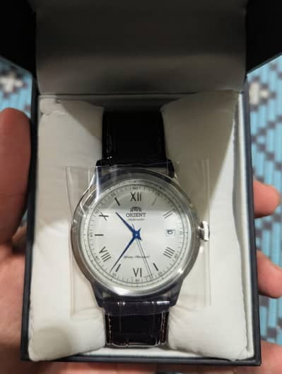 Orient Bambino V2 (Brand New)